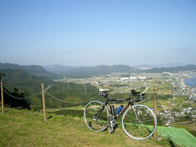 卵 自転車